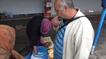 Yörüklerin yayladan getirdiği doğal salamura peynire müşteri akını