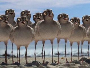 Manou à l’école des goélands: Trailer HD VF