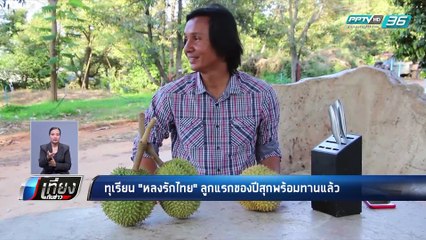 ทุเรียน “หลงรักไทย” ลูกแรกของปีสุกแล้ว พร้อมรับประทาน | เที่ยงทันข่าว