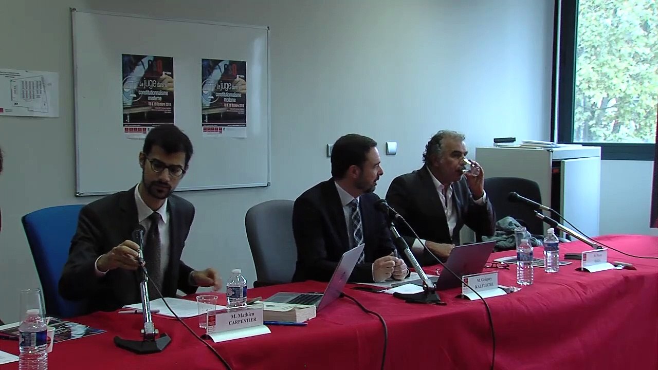 "Le juge constitutionnel et la pertinence de la « théorie du législateur négatif » ", Mathieu Carpentier, Professeur de droit public, Université Toulouse Capitole _QsQ #8_06-Séquence 03-2