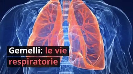 Quale parte del corpo è associata al tuo segno zodiacale?