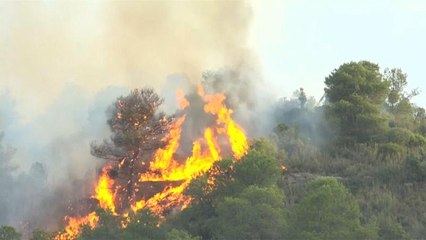 Catalunha a braços com um enorme incêndio florestal