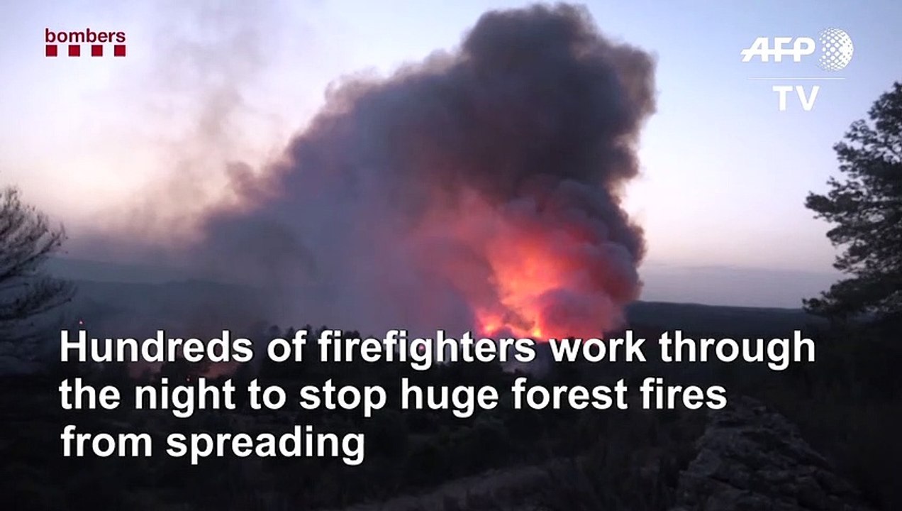 Forest fire rages in eastern Spain