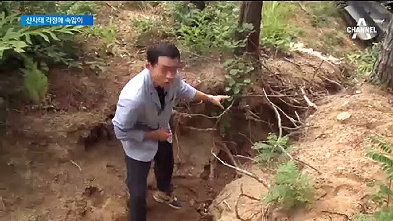 장마 시작되자 산사태 걱정…태양광 발전시설 ‘속앓이’
