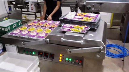 Yufka lavaş vakum makinesi gazlı