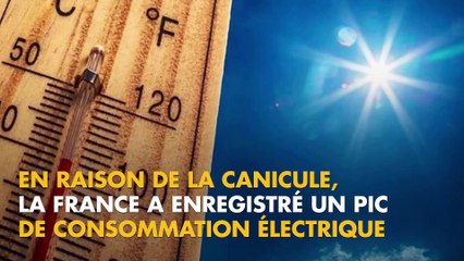 7 gestes basiques pour faire baisser sa facture électrique en été