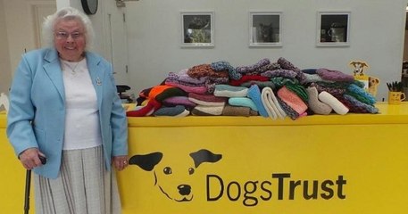 Âgée de 89 ans, elle tricote plus de 400 couvertures et les offre à des chiens de refuge