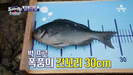 [지렁이의 나비효과]는 미미했다;; 덕화의 거대 지렁이를 물고 나온 녀석은 '쏨뱅이'