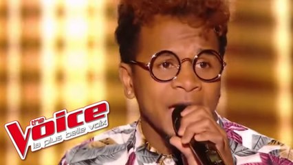 Ray Charles – What I'd Say | Natan | The Voice France 2017 | Blind Audition