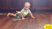 Fun and Fails ! Funniest Sibling Rivalry Funny Babies and Pets