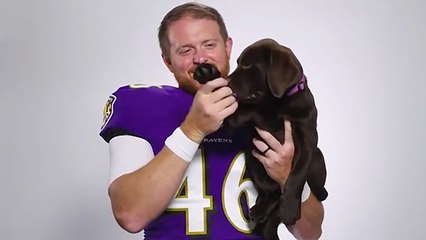 Ravens players prepare for a media day ... with a puppy!