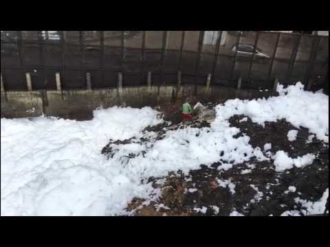 Bellandur lake in Bengaluru froths again