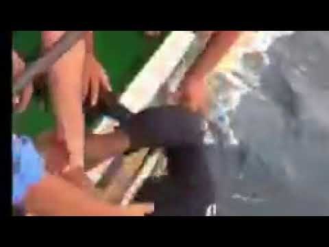 Cyclone Ockhi: Indian Coast Guard ship Sarthi rescues fisherman off Kerala coast