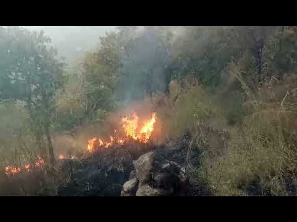 Students caught in forest fire in Tamil Nadu's Theni