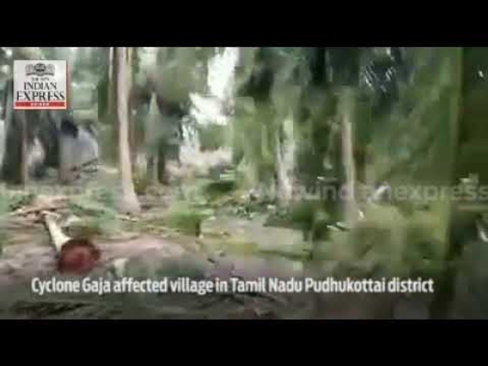 Cyclone Gaja affected village in Tamil Nadu's Pudhukottai district ...