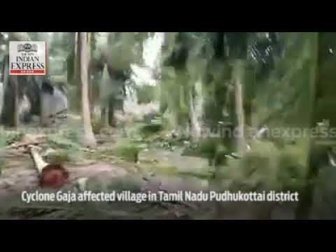 Cyclone Gaja affected village in Tamil Nadu's Pudhukottai district