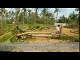 CYCLONE GAJA: Destruction caused in Thanjavur district