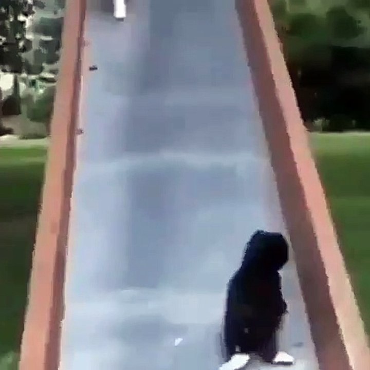 Cette chatte a de turbulents petits chatons. Regardez les tours qu'ils lui jouent !