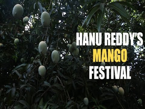 At this Chennai farm, you can pick your mangoes and eat them too!