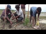 Villagers shocked by ‘fish rain’ in Vijayawada