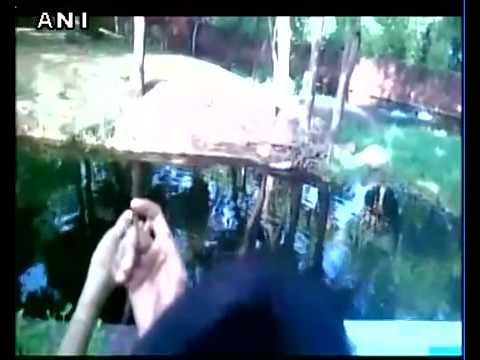 Drunk Man jumps into lion enclosure at zoo in Hyderabad, rescued unhurt