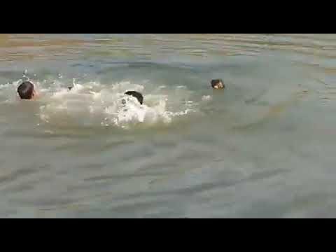 Four youths drown to death during Ganesha idol immersion in Gomti river