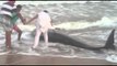 Watch dramatic video of whales being washed ashore in Tamil Nadu