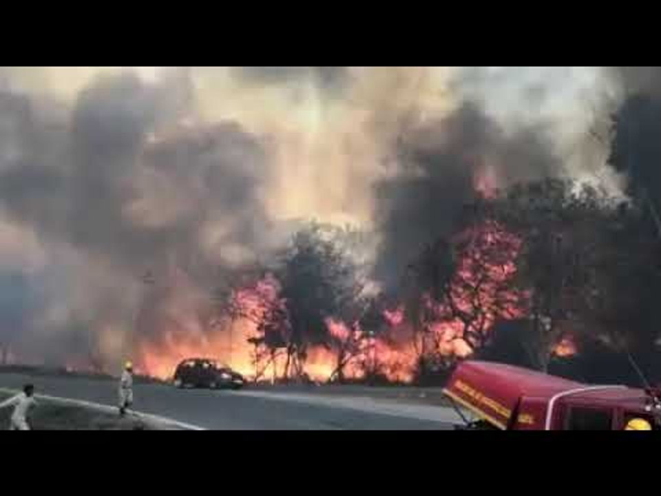 wildfire at Bandipur forest