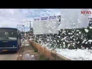 Expert Committee goes to inspect Varthur lake, finds foam party gone wild