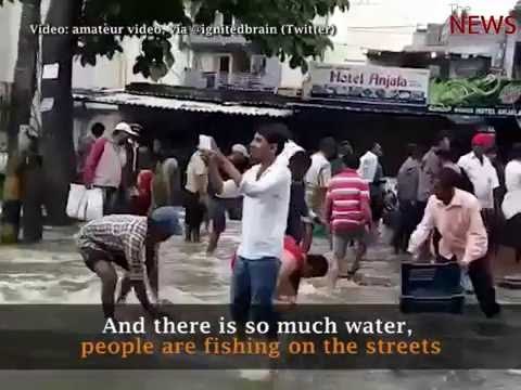 Rains leave Bengaluru roads jammed up, and people are fishing on the streets