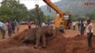 Ailing elephant collapses in Coimbatore’s Periya Thadagam, rescued by forest officials