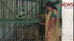Growling with tigers, laughing with hyenas: Meet the women caretakers of TN zoo