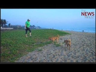 Beach warrior: Meet the Belgian woman on a mission to clean Chennai’s coastline