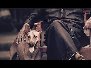 Meet 'Kaala' dog Mani, Rajinikanth's shadow in the superstar film.