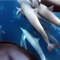 Fantastique !! Cette femme nage avec des dauphins sous l'eau !