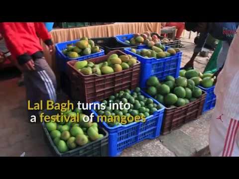 Bengaluru's Lal Bagh celebrates the king of fruits