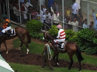 Hyderabad's tryst with horse racing: From a leisurely sport to a multi-crore business