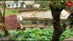 Landslide in Kodagu leaves hundreds homeless