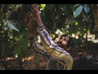 Coorg's Bitter Brew: Bonded labour in India's biggest coffee estates