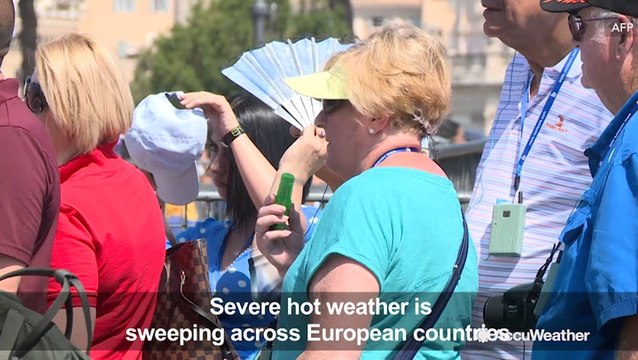 Zoo keepers keep animals cool with ice treats