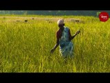 How farmers in a taluk in Tamil Nadu are bringing back organic farming