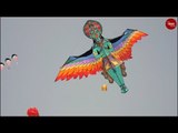 A kaleidoscope of colours: Telangana's International Kite Festival was a treat to witness