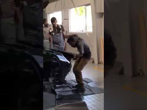 6-foot cobra sneaks into BMW, TN businessmen spooked