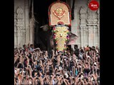 Why Raman tusker became the headline of the famed Thrissur Pooram (festival)