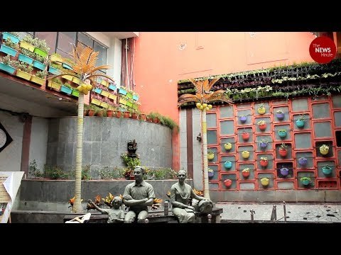 Bengaluru KSR Railway station gets a new vertical garden