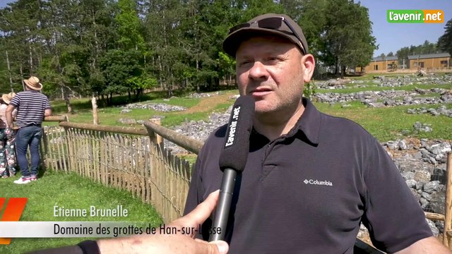 L'Avenir - Trois nouveaux ours au Domaine des grottes de Han-sur-Lesse