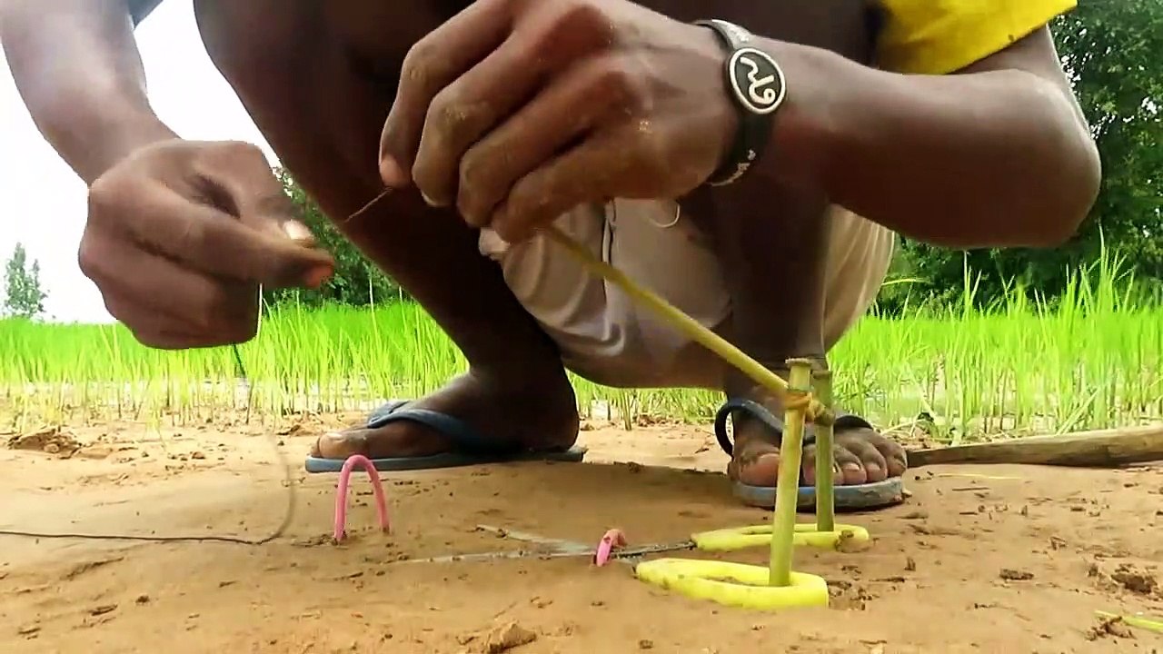 La Technologie Primitive: Simple BRICOLAGE Oiseau Piège de Faire de Cutter Que le Travail à 100% Par Smart Boy