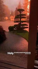 Lightning Hits Nearby Tree