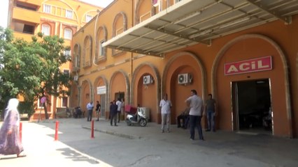 Ağacı kıran zanlıya 100 ağaç dikme cezası verildi