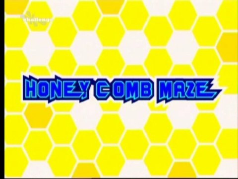 Honeycomb Maze